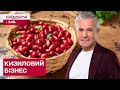 УНІКАЛЬНЕ ПІДПРИЄМСТВО! Як на Запоріжжі працює НАЙБІЛЬШИЙ У СВІТІ сад кизилу?