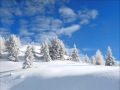 Martin Schulte - Snow