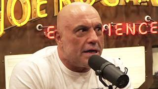 Joe Rogan's Trump endorsement comes back to HAUNT HIM