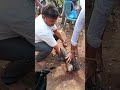 ##polaram ammavari thirunalla##dailyvlogs