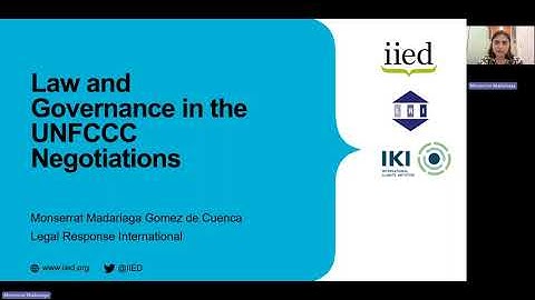 Webinar | Law and Governance in the UNFCCC Negotiations