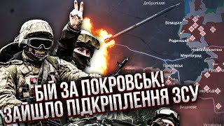 ❗️Прямо зараз! ГОРА ТРУПІВ У ЦЕНТРІ ПОКРОВСЬКА. Росія влаштувала РОЗСТРІЛ. У місто зайшов ДЕСАНТ ЗСУ