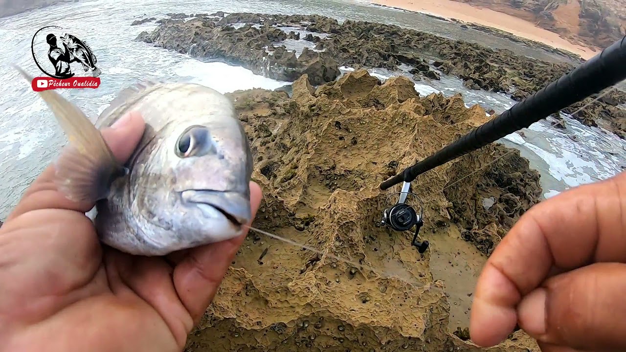 طريقة شعيبة في الصيد والتنقل بين المصايد