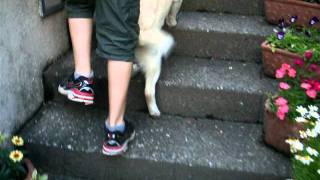 DSCF3171.AVI