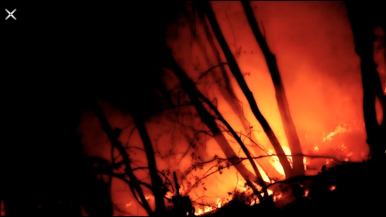 California Wildfires (2020)