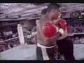 Batarelli vs allan royster  1994