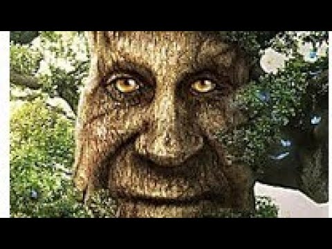 ♂️Wise Mystical Gachi Tree♂️ 1 hour (1 час) 