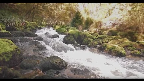 April 17, 2016 - Music & The Spoken Word