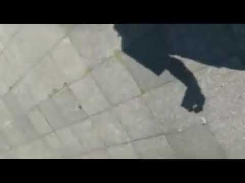 Katze In Schranko Frosto 3 4 Jahre Her Youtube