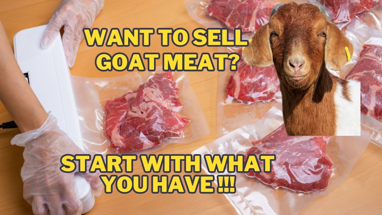 want-to-sell-goat-meat-start-with-what-you-have-youtube