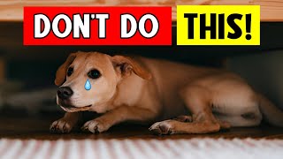 10 Deadly Mistakes Dog Owners Make – Avoid Them Now!