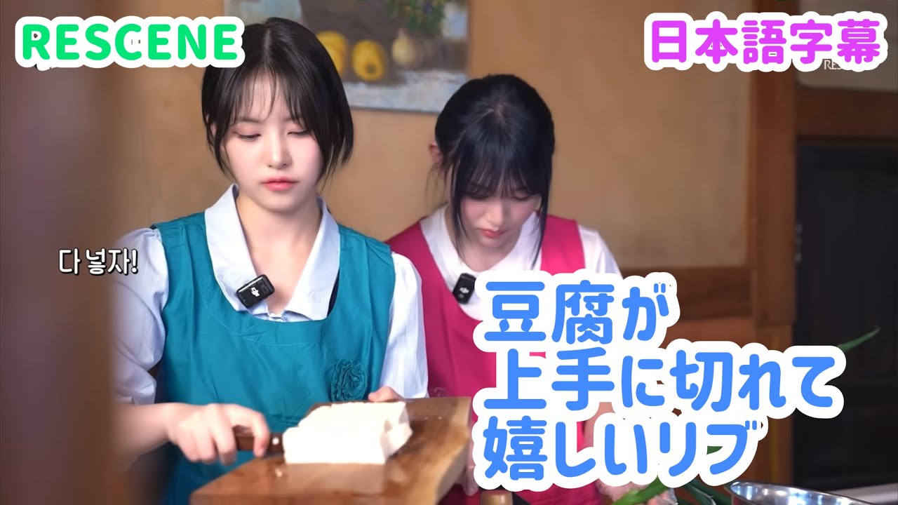 【日本語字幕】豆腐が上手に切れて嬉しいリブ【リセンヌ(RESCENE)】