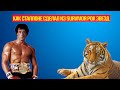 КАК СИЛЬВЕСТР СТАЛЛОНЕ СДЕЛАЛ EYE OF THE TIGER ХИТОМ