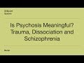 Is Psychosis Meaningful? Trauma, Dissociation and Schizophrenia - Part I