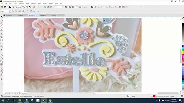 Corel Draw Tips & Tricks Cake Topper with a Twist part 4 to the max