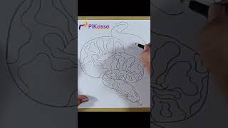 How to Shade a Python Snake Drawing Easy in Less Than One Minutes Wealth