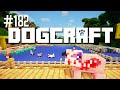 The Dog Show | Dogcraft (Ep.182)