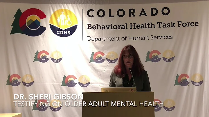 Dr  Sheri Gibson Testimony