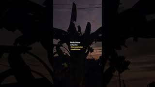 Melawan Restu (sad moment) #shorts