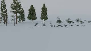 Foliage & Scatter Lookdev | Blender 5.1 Cycles, Geo-Scatter