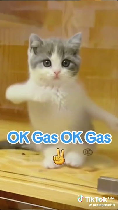prabowogibran oke gas #tiktok #okegas