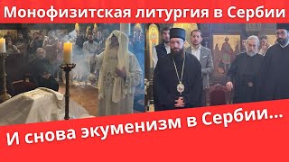 Ересь экуменизма в Сербской Православной Церкви | Батюшка на Кипре