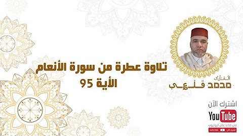 تلاوة عطرة من سورة الأنعام - الآية 95 | بصوت القارئ محمد قلعي | جودة عالية
