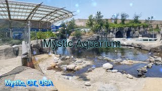 Mystic Aquarium, Mystic, CT ( The Best Aquarium in Connecticut  Beluga Whales, Seals, Dinosaurs..)