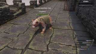 Conan Exiles: Baby Bear Cub Pet! Most Adorable Pet From Last Chapter's Pass