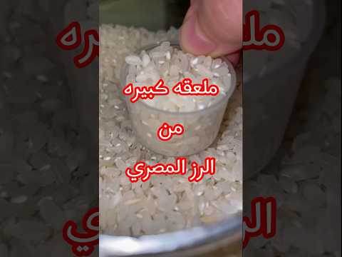 رز مصري للرضع والاطفال اطفال اكسبلور