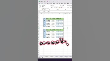 ショートカットキーで一瞬で外枠線を引く方法  #excel #エクセル便利技 #exceltips #ecotechjp #exceltricks #エクセル #windows