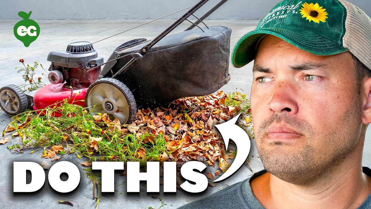 The Easiest Ways To Make Compost FASTER