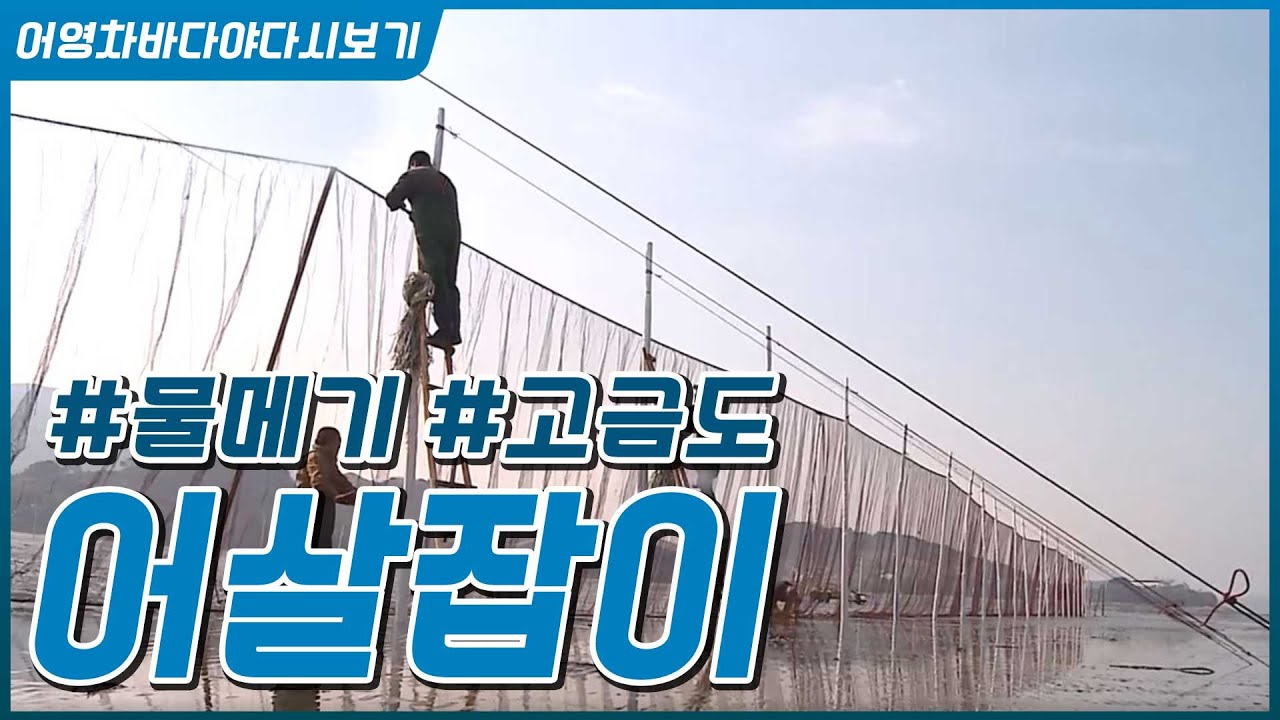 [어영차바다야 다시보기] 어살잡이 김효곤씨/고금도 청학동/물메기