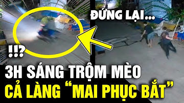 3h sáng đi ĂN TRỘM MÈO, 2 thanh niên bị cả làng MẬT PHỤC GIĂNG LƯỚI như trong phim |Tin Nhanh 3 Phút