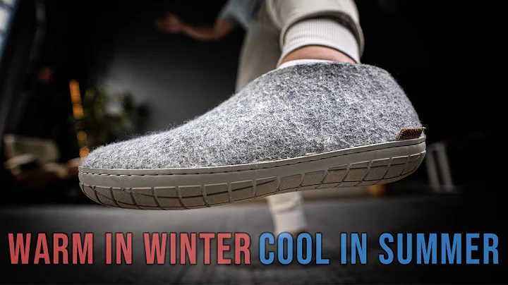 EVERYONE KEEPS ASKING ABOUT MY SHOES...So I Reviewed Them | Glerups Shoes Review