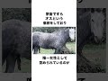 アトス自治修道士共和国についての雑学