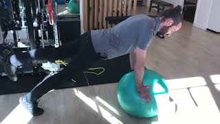stability ball plank variations