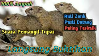 SUARA PIKAT TUPAI\\\\BAJING AMPUH