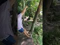 Nice swing po ma'am #travel #shortvideo #adventureexploring #swimming