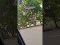 Hello dear all for you frends ❤️ YouTube trending short video 📷