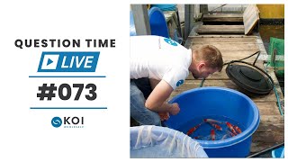 Koi Question Time LIVE #73 | Live From Japan!