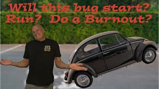 How to get a 1970 Volkswagen Beetle starting and running! by Fulton's Garage 323 views 6 months ago 25 minutes