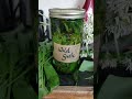 Let's Talk Wild Garlic