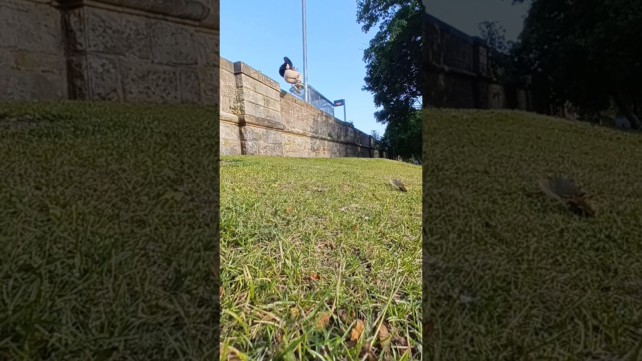 Double reverse Vault 🐿