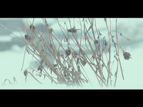 Goran Korceba I Grupa Vozd Dolazi Zima Video 2018 HD