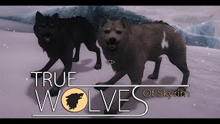 TES V - Skyrim Mods: True Wolves Of Skyrim
