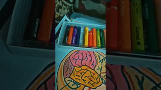 School project, structure of Brain #school #project #art #shorts #shortvideo