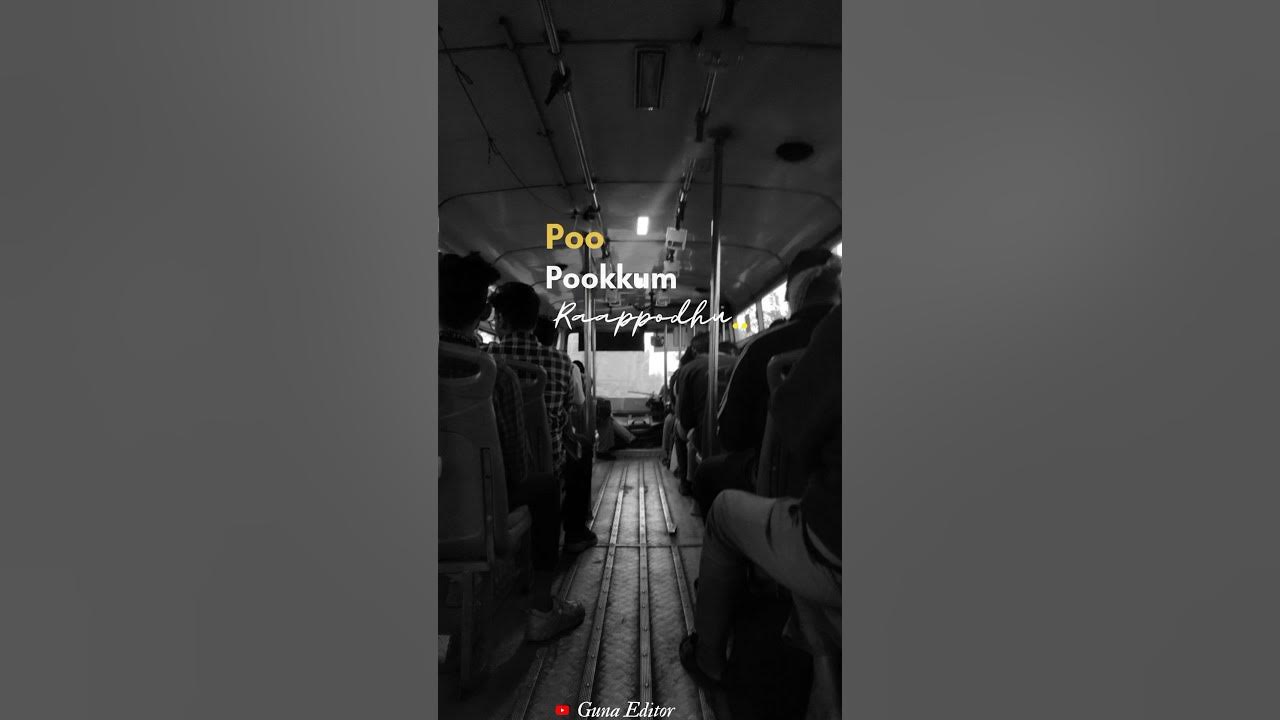 Panivizhum Iravu LyricsMouna Ragam1986S. Janaki,S. P. Balasubrahmanyam #tamilsong Panivizhum Iravu LyricsMouna Ragam1986S. Janaki,S. P. Balasubrahmanyam #tamilsong