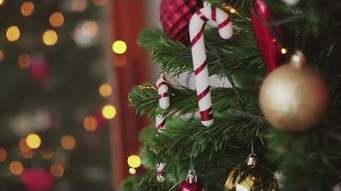 Christmas Tree Bokeh Stock Video