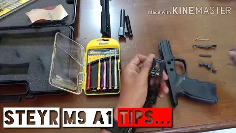 Steyr M9 A1 Disassembly [Cleaning Tips for Disassembly and Installation